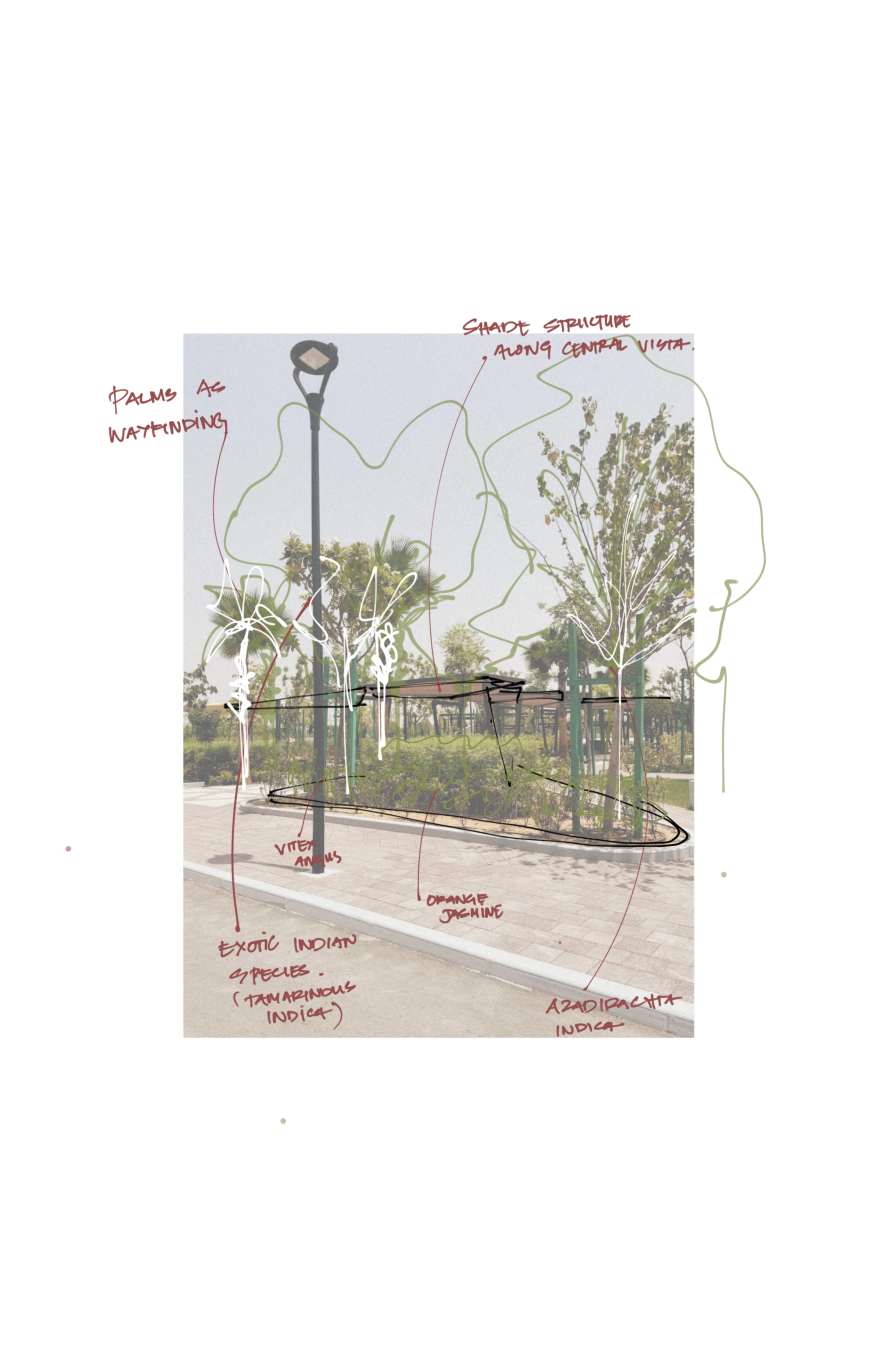 Detail from the campus landscape design