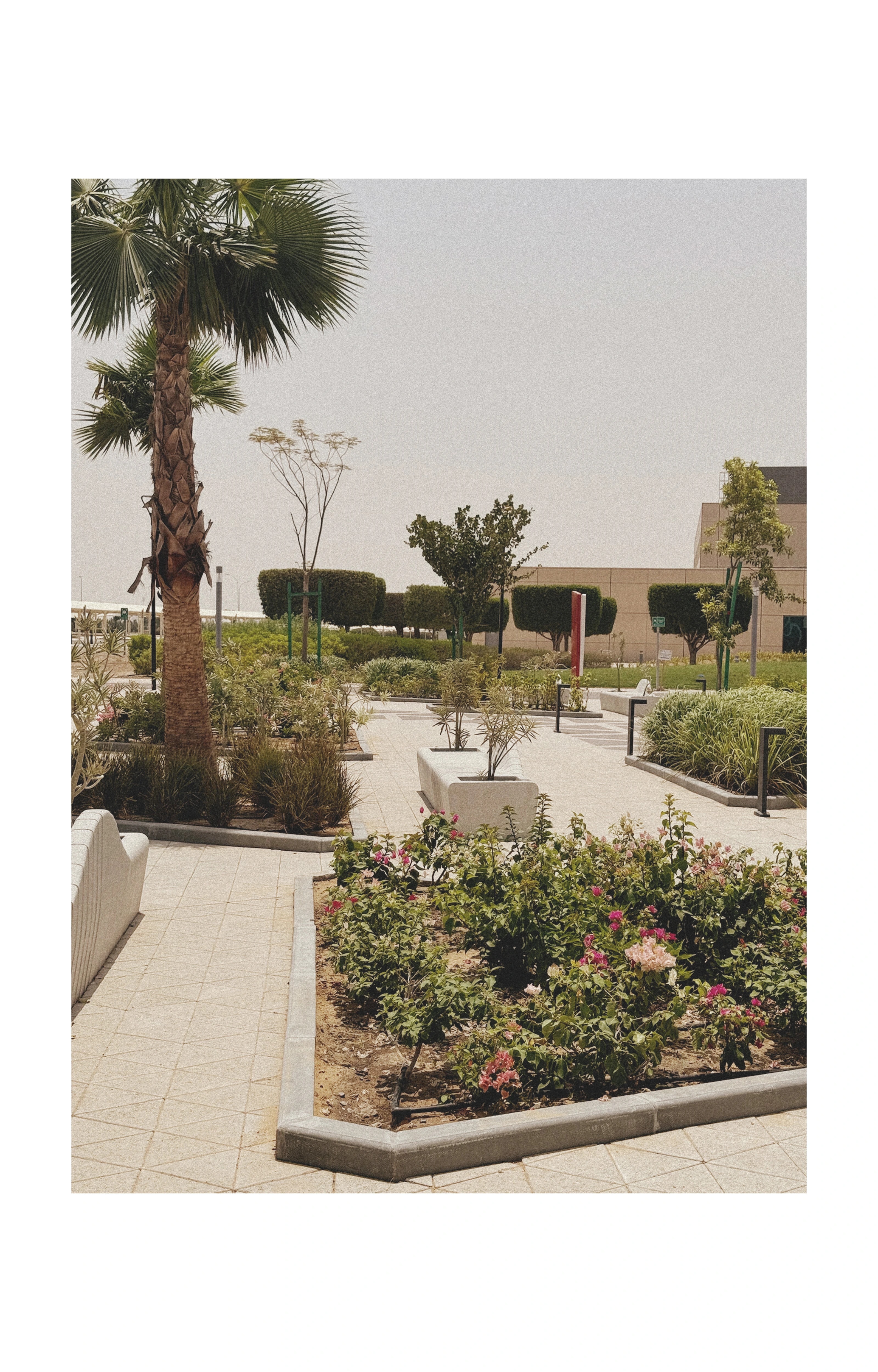 Detail from the campus landscape design