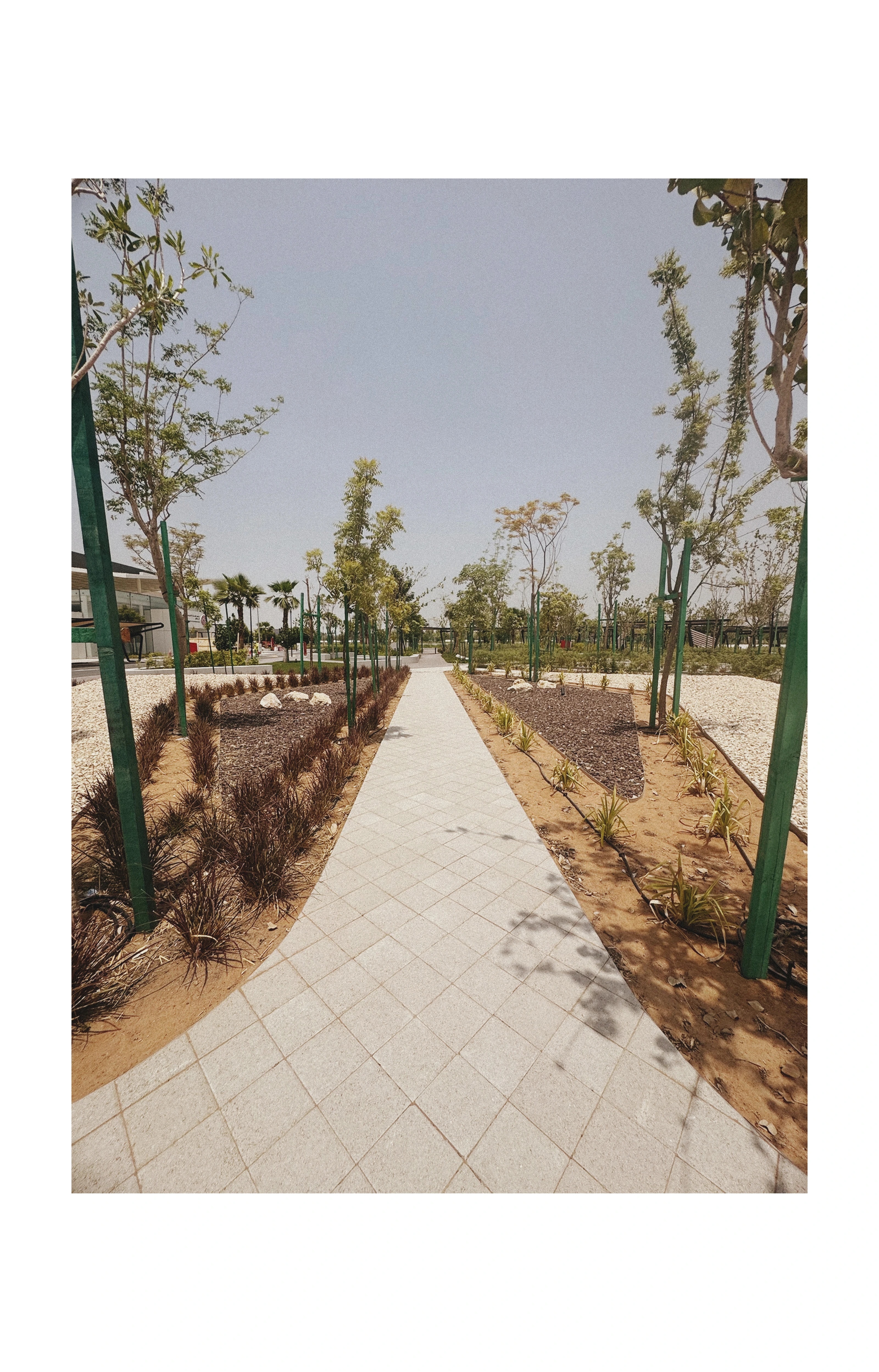 Detail from the campus landscape design